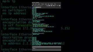 #shorts  Restablecer interface por defecto cisco