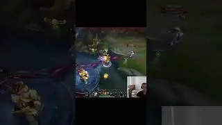 Sett Support