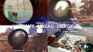 Heavy Metal Detox