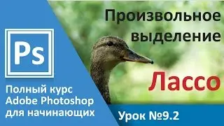 Урок 9.2 - Выделение. Выделение произвольной формы. Лассо | Graphic Hack