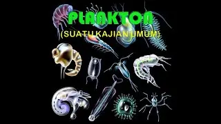 MENGENAL PLANKTON (KAJIAN UMUM PLANKTONOLOGI)