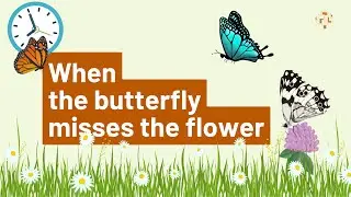 When the butterfly misses the flower