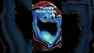 Cookie Monster Hungryy 💎💎