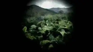 hanso video 3