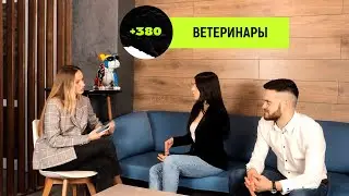 Врачи ветеринары — об ЭКО для животных, «учёном гусе» и усыплении здоровых питомцев