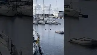 Bergen Boat Parking Area #sailing #boatlovers #boatrides #norway #bergen #shorts #sailor #fjords