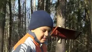 Dodgeball in the Woods Oct 12, 2016