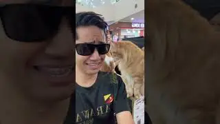 Aqil buat tiktok dengan kucing 10kg 🐱
