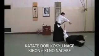 Traditional aikido YONDAN level Taijutsu techniques PART 1