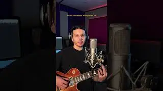 «пластырь» лайв 