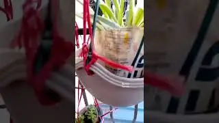 Zero cost Planters 🪴 #shorts #youtubeshorts #ebenezertutorials