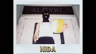 Rimvis - NIDA