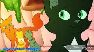 Коты воители клип - {Copycat} мистическая звезда