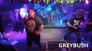 Greybush - Cellar Stage Reno