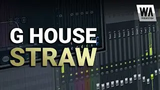 G House Straw | FL Studio Template (+ Samples, Stems & Massive, Serum Presets)