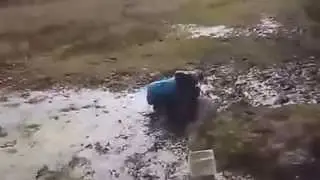 Приколл!