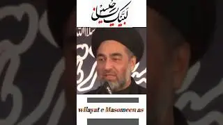 Molana Ali Raza Rizvi Majlis 2021 |majlisstatus|#shorts #majlis#shiastatus #molanaaliraza