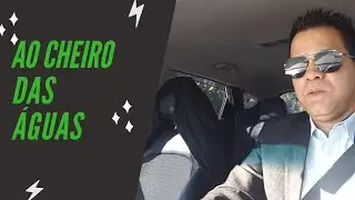 Ao cheiro das Águas como Planta nova Brotara