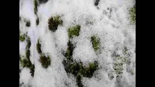 it snowed !!