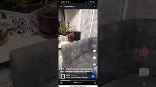 Дуэт "Дед максим" и "Яндекс Алиса"
