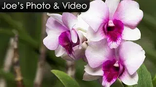 Focus Stacking In Photoshop Made Easy - Adobe Photoshop CC Tutorial