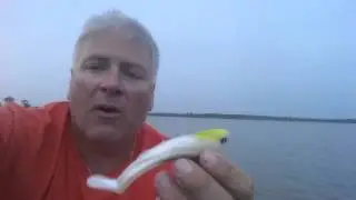 Swimbaits August 27th 2015