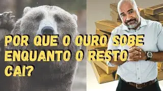 POR QUE EM MOMENTOS DE CRISE O OURO SOBE ENQUANTO O RESTO CAI? | EDUCAÇÃO FINANCEIRA