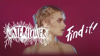 Waterflower - Find It! (Official Music Video)