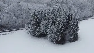 DJI MINI 2 4K First winter and fog in the small forest // Pierwsza zima i mgła  w małym lesie