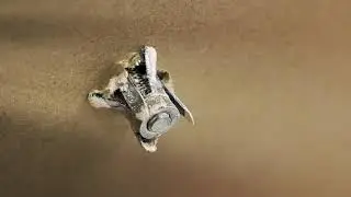 Cheville STELLIX métallique pour plaques de plâtre multi épaisseurs - SPIT