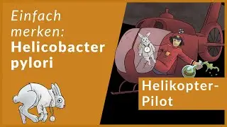 Helicobacter pylori leicht erklärt | Eselsbrücken für Infektiologie