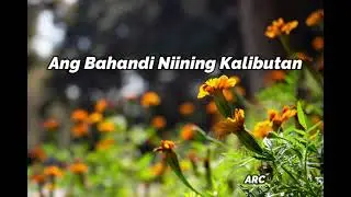 Ang Bahandi Niining Kalibutan