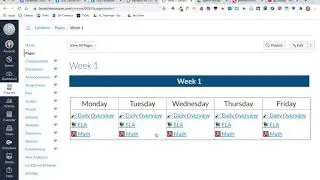 Canvas Course Setup