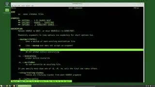 Linux Command Line (09) Moving and Renaming Files and Directories