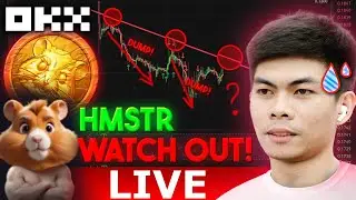 Hamster Kombat WORST Case Price Prediction LIVE Pre-Market