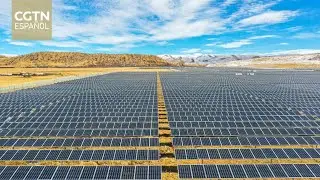 La innovación tecnológica en la industria fotovoltaica resulta crucial para la transición energética