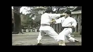 Энпи Бункай | Enpi Bunkai