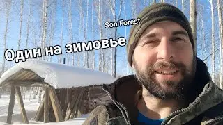 Один на зимовье
