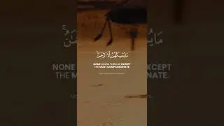 Surat Al-Mulk Challenge | Verse 19 | Memorize One Verse Each Day