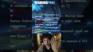 Чем заняться в лесу?