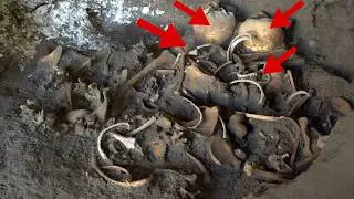 Chilling Pompeii Victims Bundled Together and Coins Discovered in Shop in Latest Digs
