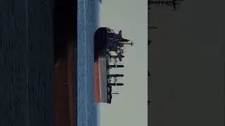 Bulk Carrier