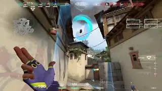 Gekko.op