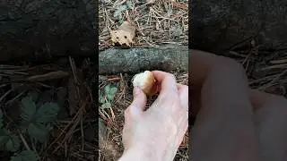Последний в этом сезоне 😋