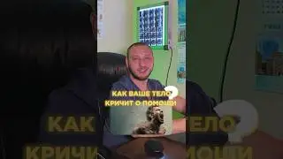 Сколько пунктов у вас  совпало? 🤔