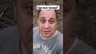 Полные яйца травы!