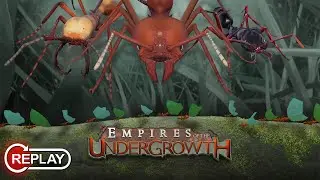 Empires of the Undergrowth: RTS et Fourmi et des hommes