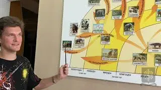 Интерактивная лекция «Кто такие мастодонты?»