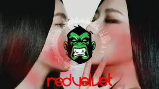 Red Velvet - IRENE & SEULGI 'Monster' (Remix)