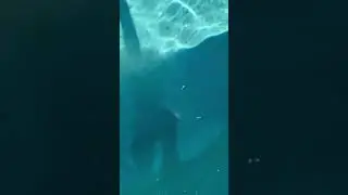 а когда не лето, ЛАХМА НА ОТДЫХЕ 